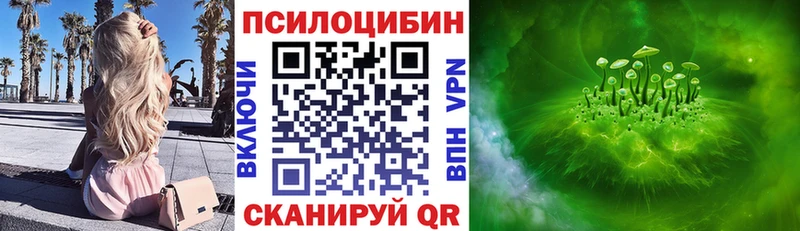 Купить Дыгулыбгей Псилоцибиновые грибы прущие грибы