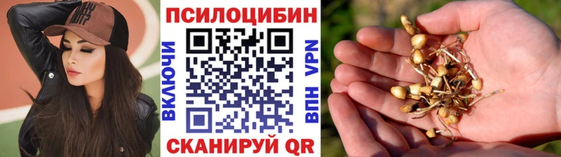 Галлюциногенные грибы MAGIC MUSHROOMS Дыгулыбгей